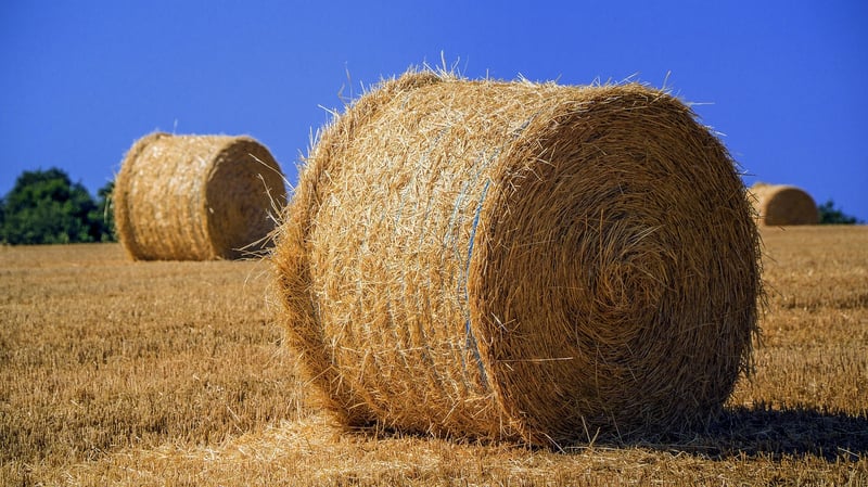 Christian Bale